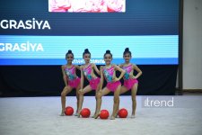 В Баку завершилось шоу изящества художественных гимнасток (ФОТО)