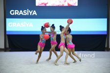 В Баку завершилось шоу изящества художественных гимнасток (ФОТО)
