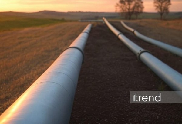 Rystad Energy о влиянии закрытия нефтепровода East-West на мировой рынок нефти