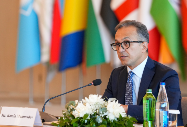 Рамин Мамедов выступил на международной конференции ОТГ в Баку