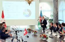 Швейцарскому бизнесу представлены возможности работы в СЭЗ Азербайджана (ФОТО)