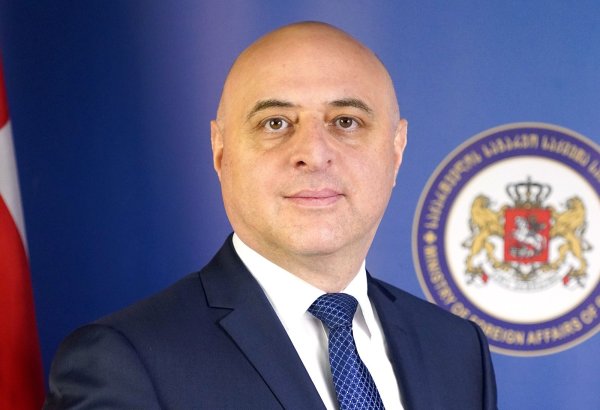Грузия назначила нового посла в Азербайджан
