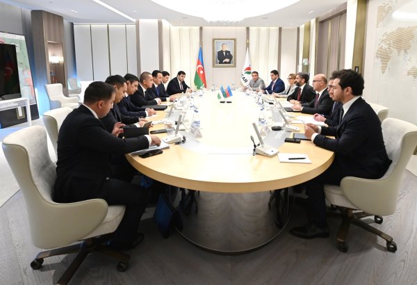 SOCAR и Узбекистан обсудили реализацию проектов на инвестиционных блоках "Устюрт" (ФОТО)