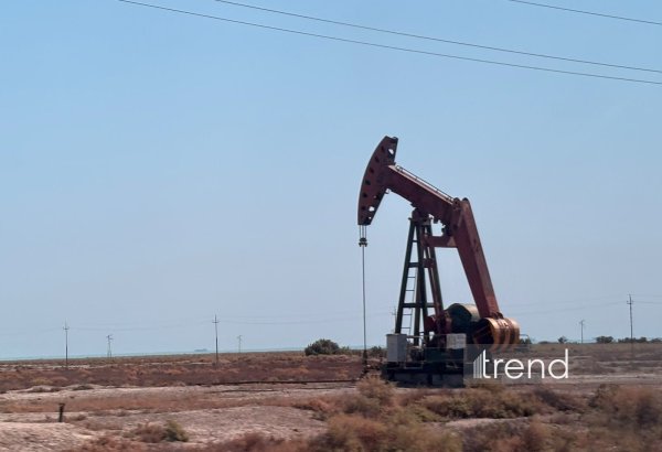 Объем экспорта нефти из Азербайджана в Индию вырос в 300 раз