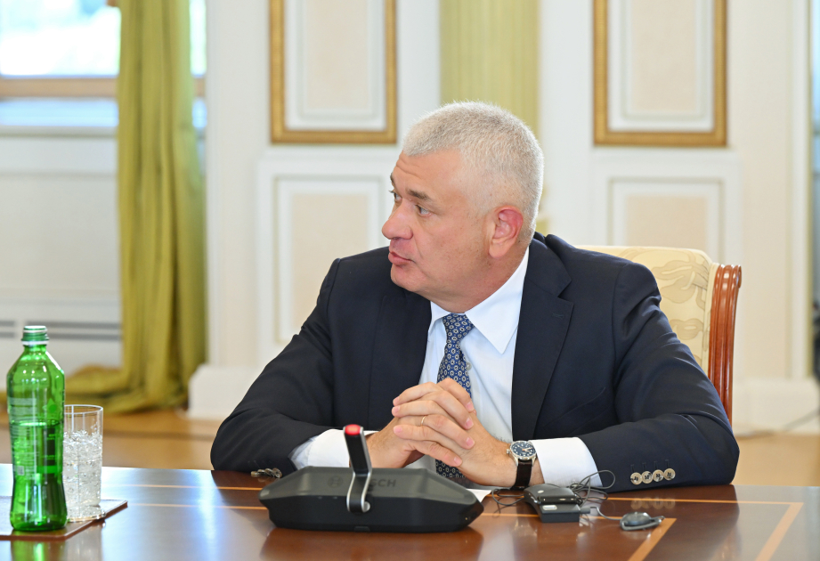 Президент Ильхам Алиев принял руководящих лиц по безопасности стран-членов ОТГ (ФОТО)