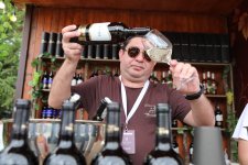 В Шамахы стартовал Фестиваль винограда и вина (ФОТО)