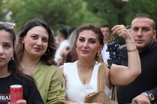 Виноград, вино и музыка — так завершился фестиваль в Шамахы (ФОТО)