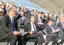 Ахалтекинский конь: золото пустыни и узоры ковра - традиции туркменских скачек (ФОТО)