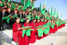 Ахалтекинский конь: золото пустыни и узоры ковра - традиции туркменских скачек (ФОТО)