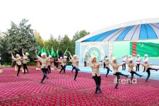 Ахалтекинский конь: золото пустыни и узоры ковра - традиции туркменских скачек (ФОТО)