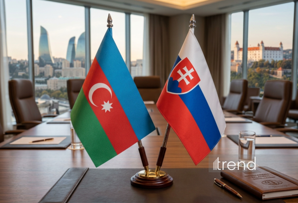 Азербайджан и Словакия будут обмениваться секретной информацией