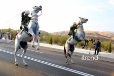 Кони, алабаи, свадьба и гости в спортивных костюмах - открытие Ахалтекинского комплекса Президента Туркменистана в Ашхабаде (ФОТО)