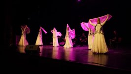 Два государства - одна сцена, братские песни: в Стамбуле прошёл вечер азербайджанской культуры (ФОТО)