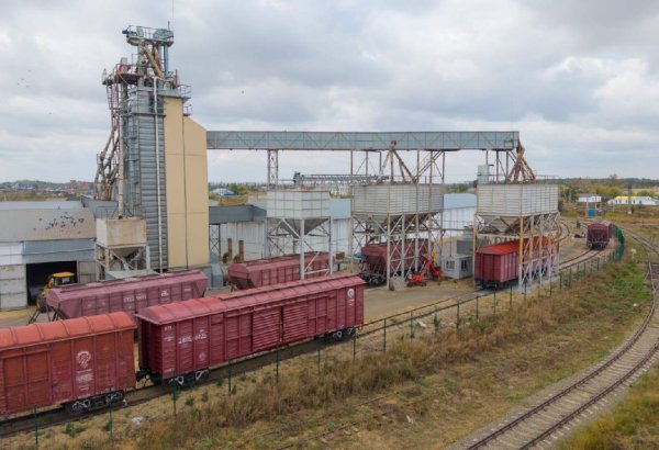 КТЖ установило рекорд по погрузке зерна в сентябре