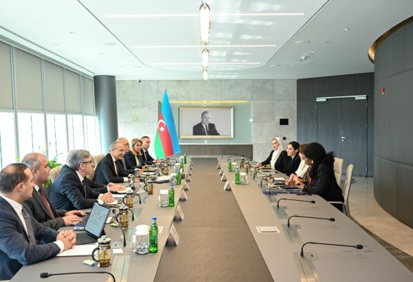 Азербайджан и DCO обсудили расширение сотрудничества в цифровой сфере (ФОТО)