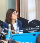 Депутат Севиль Микаилова приняла участие в заседании Исполнительного комитета IPU в Аруше (ФОТО)