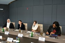 Азербайджан и DCO обсудили расширение сотрудничества в цифровой сфере (ФОТО)