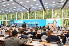 Межпарламентский союз - важная платформа для обмена опытом и укрепления роли парламентов - Сахиба Гафарова (ФОТО)