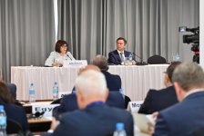 Под председательством Сахибы Гафаровой прошло совещание Парламентской сети ДН (ФОТО)