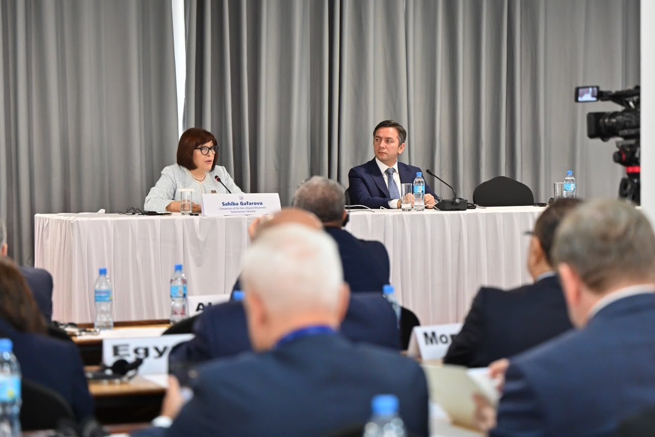 Под председательством Сахибы Гафаровой прошло совещание Парламентской сети ДН (ФОТО)