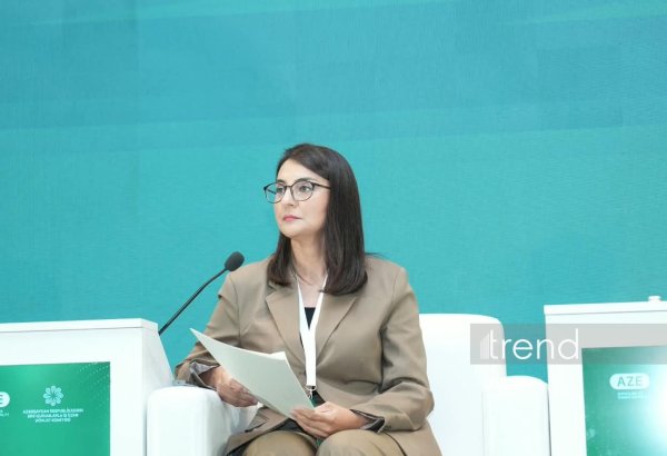 В Азербайджане за шесть лет реализовано 689 проектов по национально-духовным ценностям - Ульвия Гараева