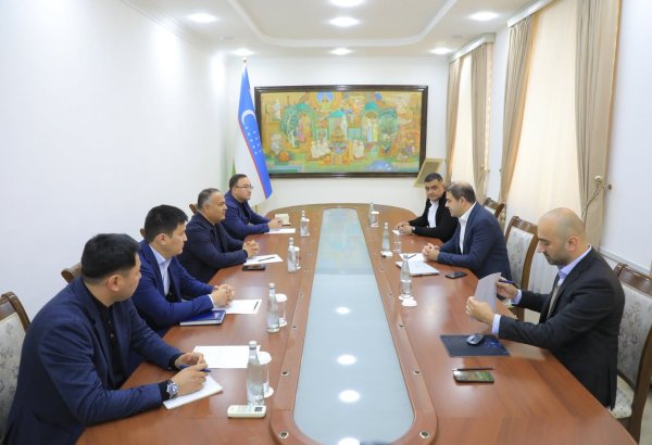 Турецкая Aksa Enerji вложит $1 млрд в электросети Самаркандской области