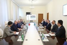 Теймур Мусаев обсудил с турецкой делегацией расширение сотрудничества в сфере здравоохранения (ФОТО)