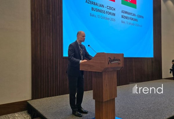 Чехия может стать важным партнёром азербайджанских компаний при выходе на рынок ЕС