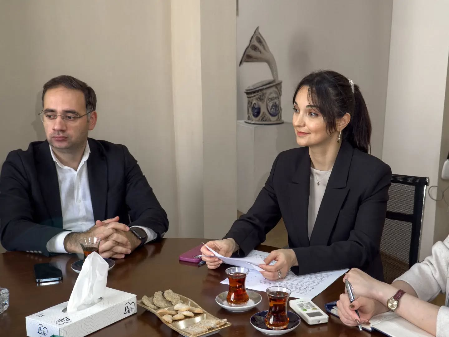 Художественное образование без границ: Азербайджан и Венгрия наметили новые направления сотрудничества (ФОТО)