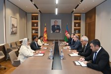 Главы МИД Азербайджана и Шри-Ланки обсудили укрепление двусторонних связей (ФОТО)