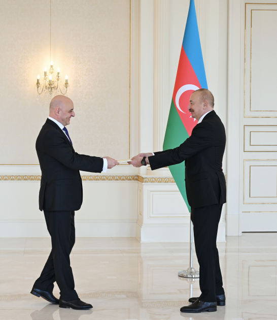 Президент Ильхам Алиев принял новоназначенного посла Грузии в нашей стране (ФОТО/ВИДЕО)