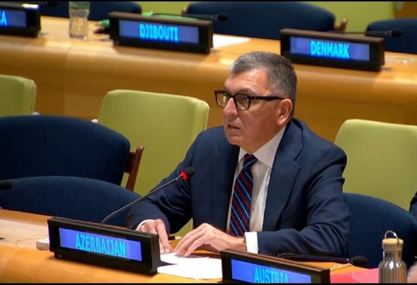 Призывы к освобождению лиц, виновных в военных преступлениях, противоречат международному праву - Тофиг Мусаев