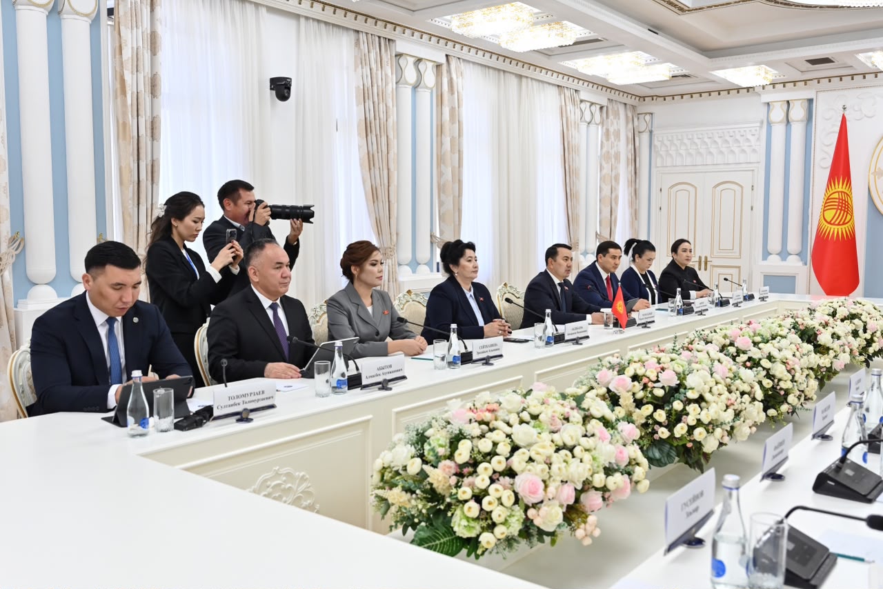 Спикеры парламентов Азербайджана и Кыргызстана обсудили расширение сотрудничества
