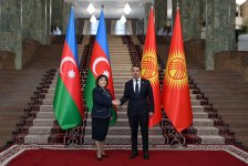 Спикеры парламентов Азербайджана и Кыргызстана обсудили расширение сотрудничества