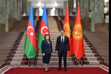 Спикеры парламентов Азербайджана и Кыргызстана обсудили расширение сотрудничества