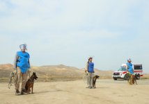 В Джебраильском, Губадлинском и Зангиланском районах очищено от мин более 100 тыс. га
