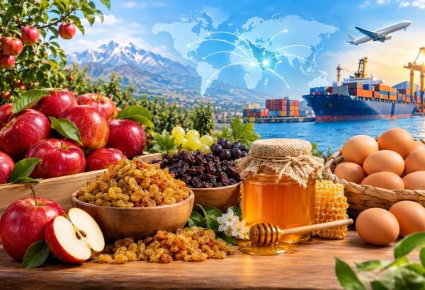 Из провинции Восточный Азербайджан экспортирована сельхозпродукция на сумму $172 млн