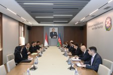 Азербайджан и Индонезия обсудили подготовку к саммиту ОИС (ФОТО)