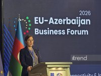 В Баку проходит Бизнес-форум ЕС-Азербайджан