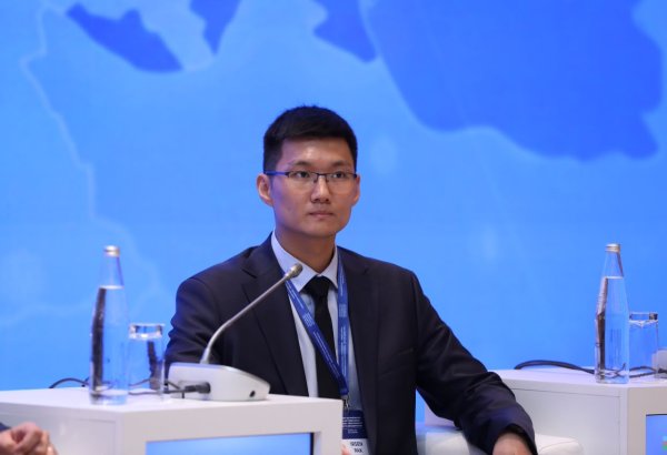 KPMG назвала четыре приоритета для реализации Зеленого энергетического коридора