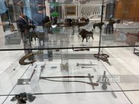Что хранит Музей истории таможни Азербайджана: от плетей XIX века до ковров карабахской школы - Репортаж (ФОТО/ВИДЕО)