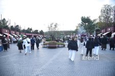 В Баку стартовал фестиваль оливок - три дня гастрономических открытий, национальных традиций и концертов (ФОТО)