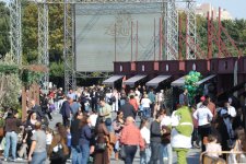 Продолжается второй день Фестиваля оливок в Баку (ФОТО)