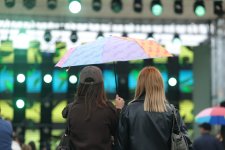 В Баку продолжается фестиваль оливок, несмотря на дождливую погоду (ФОТО)