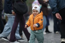 В Баку продолжается фестиваль оливок, несмотря на дождливую погоду (ФОТО)