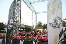 Фестиваль оливок продолжился выступлениями известных артистов (ФОТО)