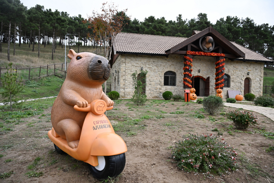 Лейла Алиева и Алена Алиева побывали на ферме Capybara Azerbaijan в Шамахы (ФОТО)