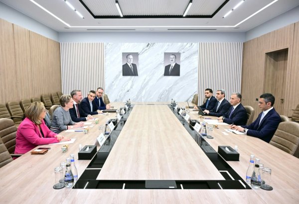 В Баку рассмотрены вопросы инвестиционного сотрудничества с компанией «C. Steinweg Group» (ФОТО)