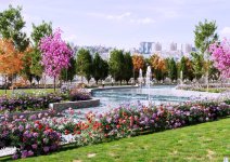 В Баку создается новый парк (ФОТО)