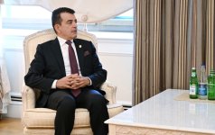 Президент Ильхам Алиев принял генерального директора ICESCO (ФОТО)